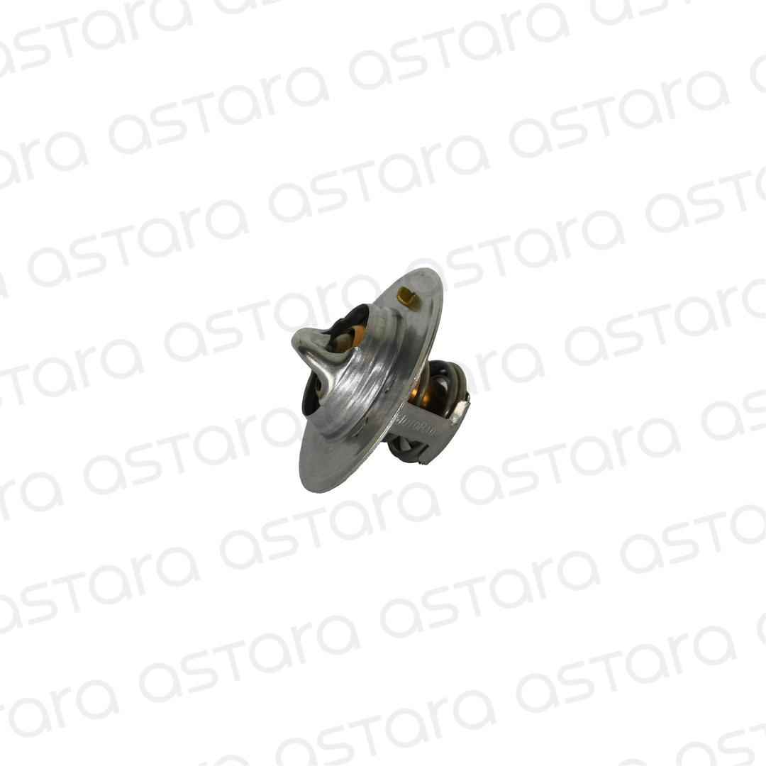 TERMOSTATO image number null