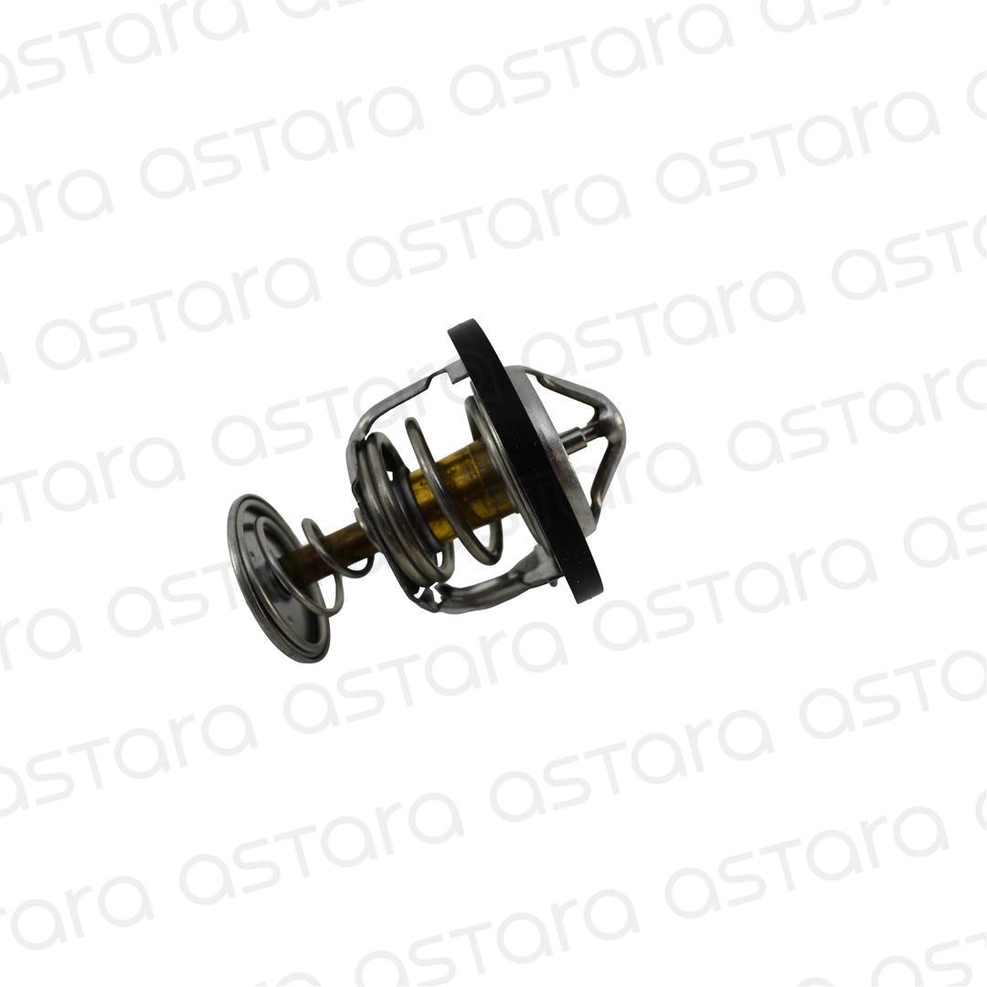 TERMOSTATO image number null